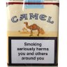 Camel Regular Non-Filter (Германия)